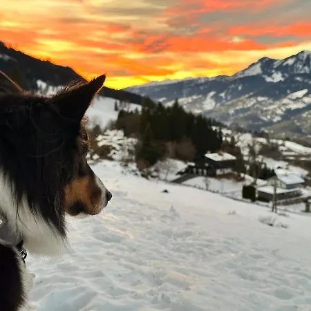 別荘 Wolke 26 - Gipfelchalet Winkl (Zell am See)